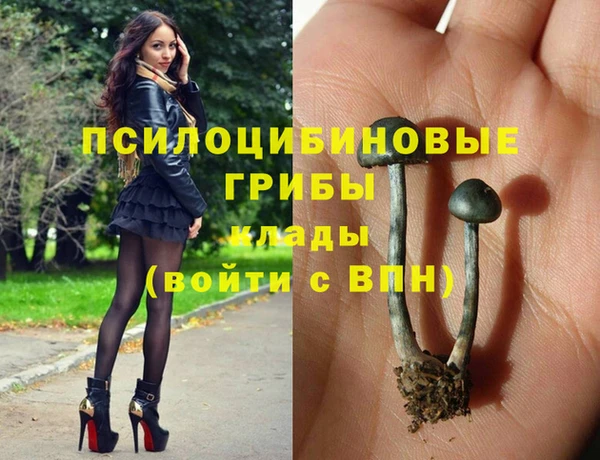альфа пвп Алексеевка