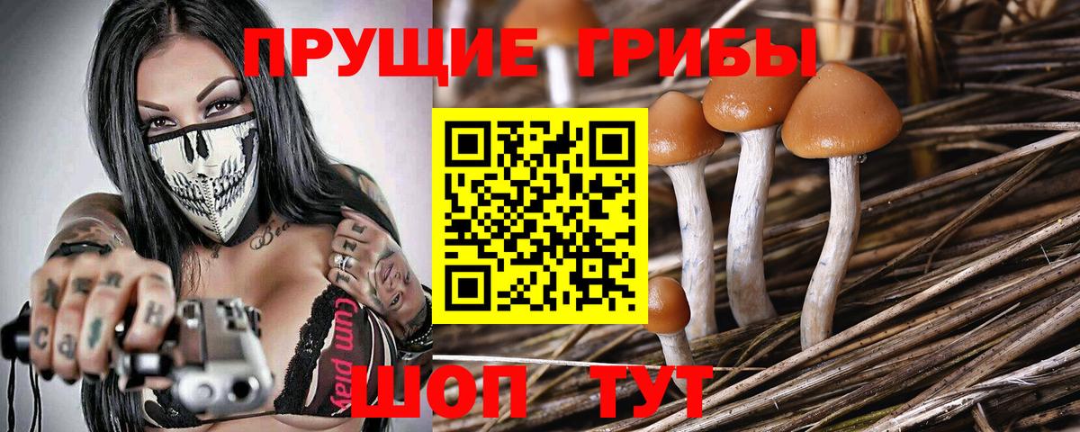Петрозаводск  Галлюциногенные грибы GOLDEN TEACHER  Вход с VPN 