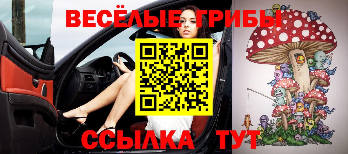 Псилоцибиновые грибы GOLDEN TEACHER Петрозаводск